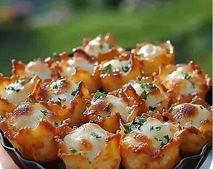 Iowa partg bites – Ukbiddingdirectory